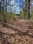 922 Skipjack Road Kinsale, VA 22488