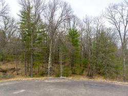 TBD Lot 6 Smith Drive Solon Springs Twp, WI 54873