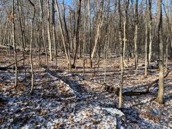 Lot 6 186Th Ave Milltown, WI 54810