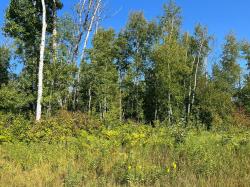 TBD 15 Acre County 55 Road Remer, MN 56672