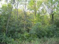 xxx NW 70th Street, Corinna Twp, MN 55302