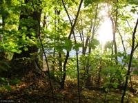 xxx Grover Avenue, Corinna Twp, MN 55358