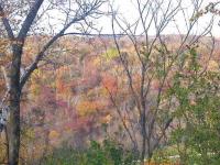 356 S Westwood Street, Red Wing, MN 55089