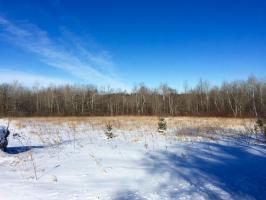 XXXXX 90th Avenue, Milaca, MN 56353