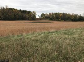 2452 NE 50th Street, Buffalo Twp, MN 55313