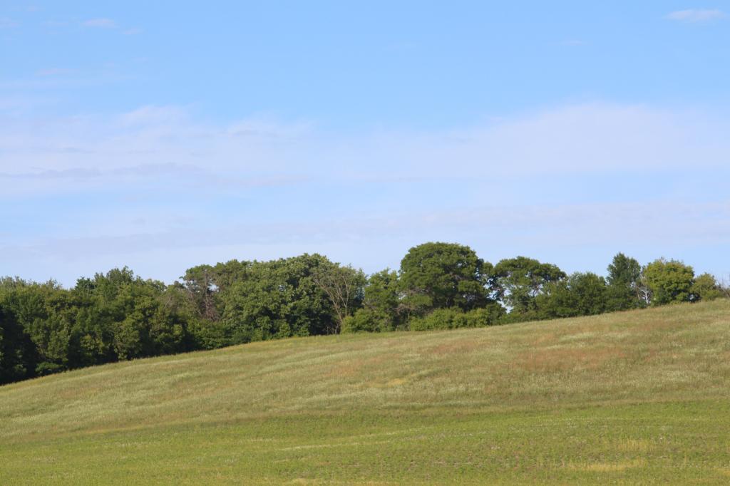 Cold Spring Mn >> Mls 5139747 Xx Emerald Hill Road Cold Spring Mn 56320 Cold Spring Mn >> Mls 5139747 Xx Emerald Hill Road Cold Spring Mn 56320