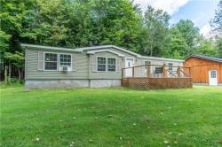 6817 Old State Road Diana, NY 13665