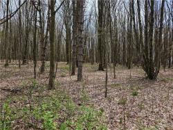 12 Trail Heights Ellicottville, NY 14731