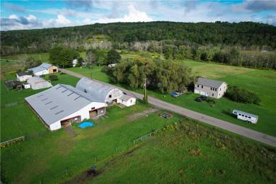 284 E Spencer Road Spencer, NY 14883