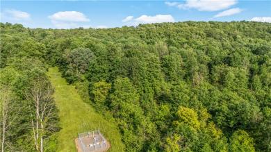 L31.1 County Road 32 Norwich, NY 13815