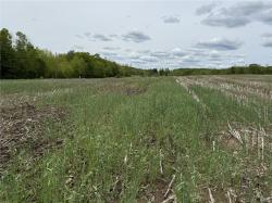 L7.415 County Road 7 Mc Donough, NY 13801