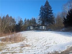 794 River Road Butternuts, NY 13776