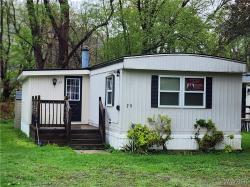 25 Sun Up Holiday Park Ellicottville, NY 14731