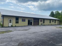 1341 State Route 19 Willing, NY 14895