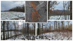 Lot 9 & 10 Bloomville Hill (Off) Road Meredith, NY 13757