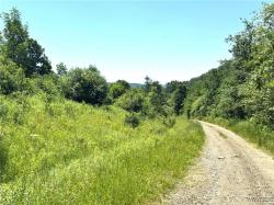 Gile Hollow Road Hinsdale, NY 14743