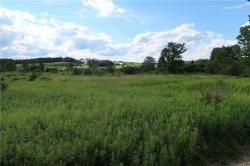 Lot 2 German Road Willet, NY 13863