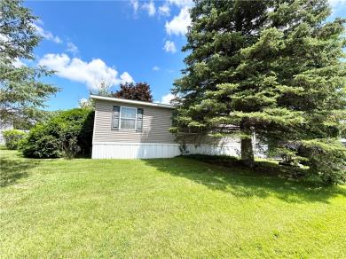 221 Spring Run Manchester, NY 14432