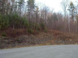 0 Off Skyview Drive Drive Oneonta, NY 13820