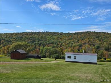 7581 N Branch Road Friendship, NY 14739