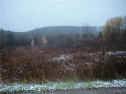 Hardy Crn Road Farmersville, NY 14737