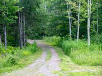 1724 Calhoun Hill Road Andes, NY 13731