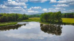 0 Toad Hollow Road Mansfield, NY 14755