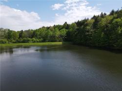 VL Lot 1 Hardscrabble Road NY 14801