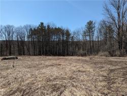 Lot 5 Domser Road Boonville, NY 13309
