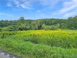 Lot 1 Brewer Road Columbia, NY 13357