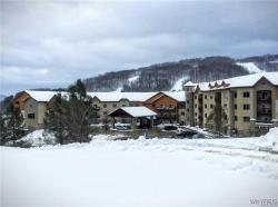 317/319-4 Tamarack Ellicottville, NY 14731