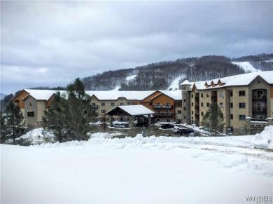 317/319-4 Tamarack Ellicottville, NY 14731