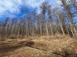 Lot 1 42 Degrees North Ellicottville, NY 14731