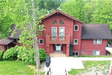 6847 Springs Road Ellicottville, NY 14731