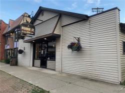 21 Monroe Street Ellicottville, NY 14731