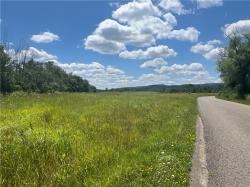 0 Myers Road Bradford, NY 14879
