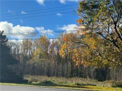 Lot 43 Co Rt 6 Schroeppel, NY 13135