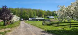 7880 State Route 79 Road Barker, NY 13862