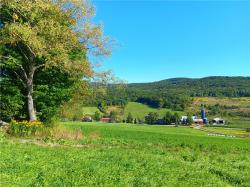 1.11 N. Harpersfield Road Jefferson, NY 12197