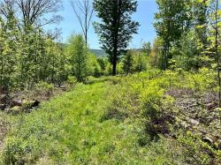 Lot 63 Homestead Lane Windham, NY 12496