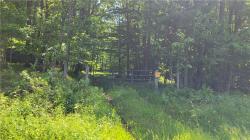 0 Nunda-Byersville Road West Sparta, NY 14437