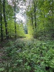 172 Aurora Drive Norwich, NY 13815