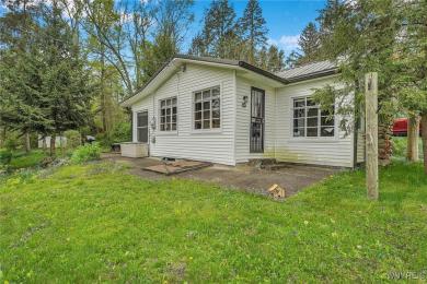 90 Summerset Drive C Java, NY 14009