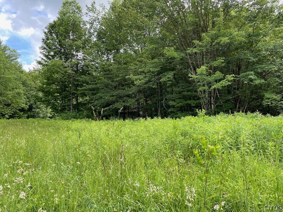 MLS S1508841 206 Durgee Road Orwell, NY 13302