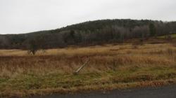 1398 County Route 4 Butternuts, NY 13825