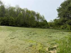 0 Mapledale Road Bridgewater, NY 13318