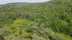0 Creek Ridge Road Ellicottville, NY 14731
