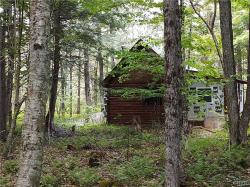 11920 Black Forest Trail Forestport, NY 13338