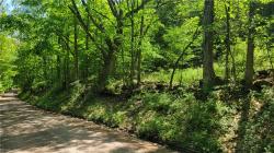 lot 3 Bookhout Road Franklin, NY 13775