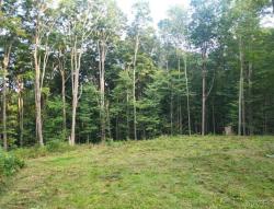 46 Dublin Terrace Road Mansfield, NY 14779